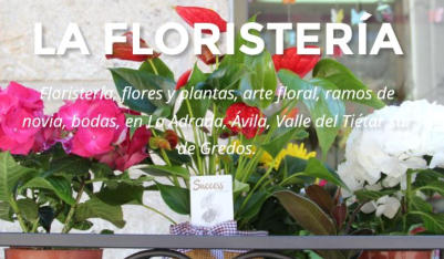 Floristería en La Adrada La Floristería, flores y plantas, Ávila